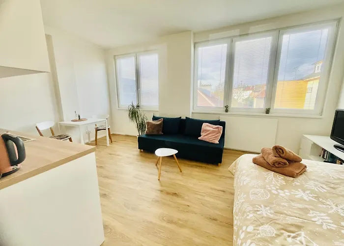 Apartman Vyskov